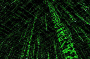 hacking hacking